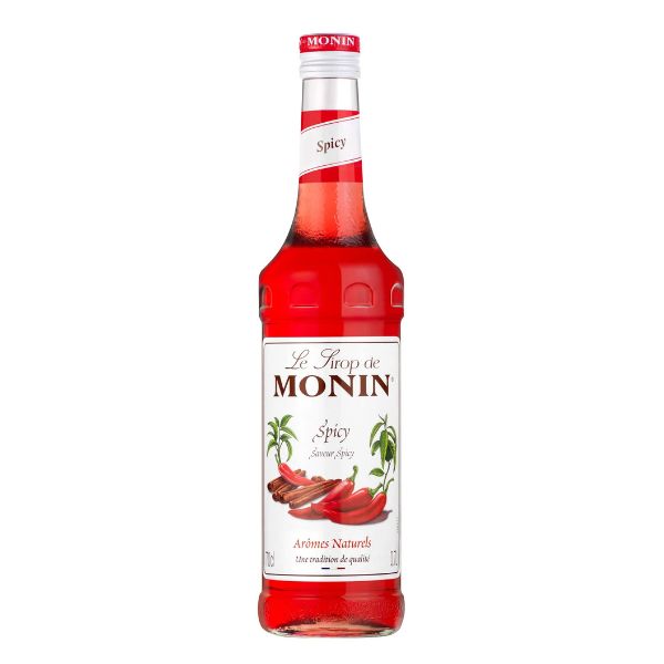 Monin Spicy Syrup Fl 70