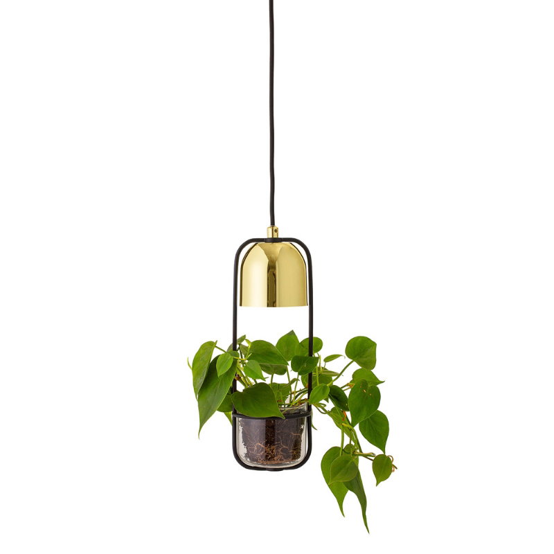 Gullak Pendel, Guld, Metal