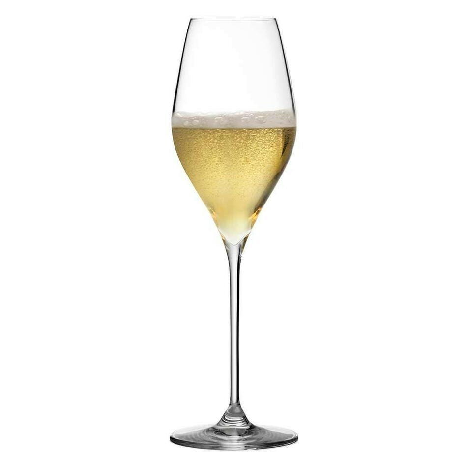 Champagneglas Bacci