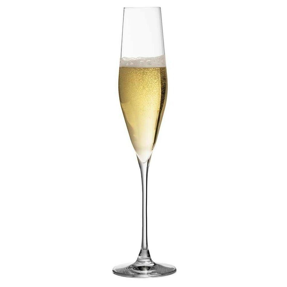 Champagne Flute Bacci Krystalglas